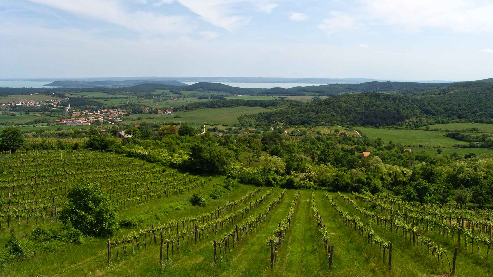 Balaton-felvidéken, felújított présház-nyaraló eladó